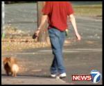 Dog Droppings